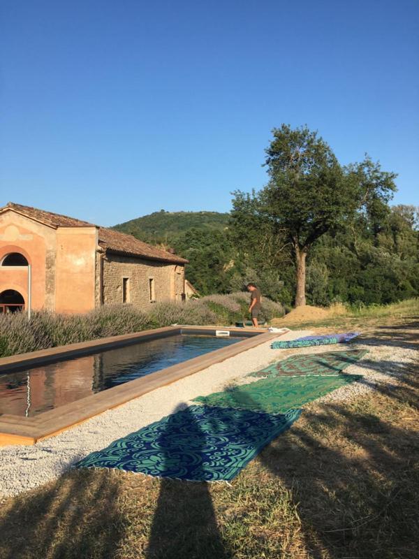 Bed & Breakfast Azienda Agricola Baccagnano