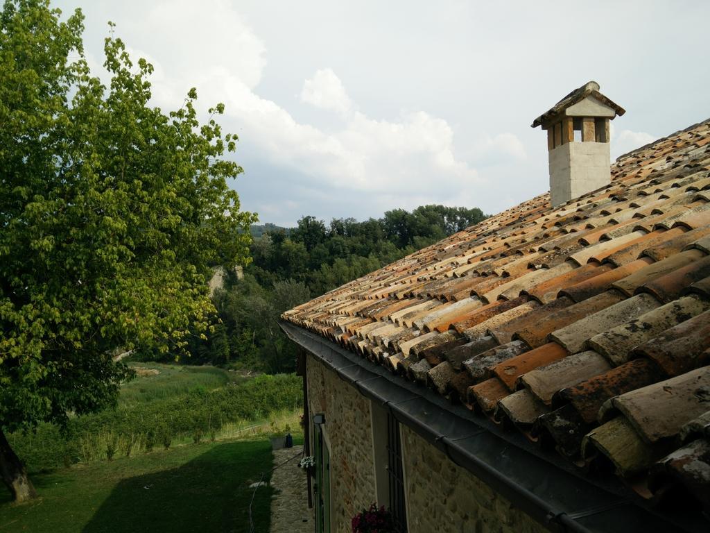 Bed & Breakfast Azienda Agricola Baccagnano